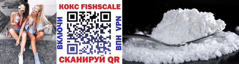 Кокаин Fish Scale  купить закладку  Светлоград 
