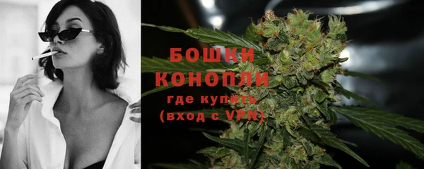 ГАЛЛЮЦИНОГЕННЫЕ ГРИБЫ Арсеньев