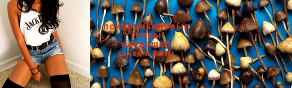 дурь Аркадак