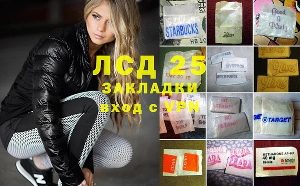 ГАЛЛЮЦИНОГЕННЫЕ ГРИБЫ Арсеньев
