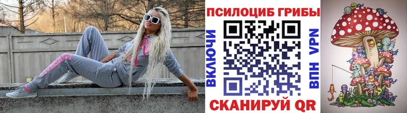 Псилоцибиновые грибы GOLDEN TEACHER  Светлоград 